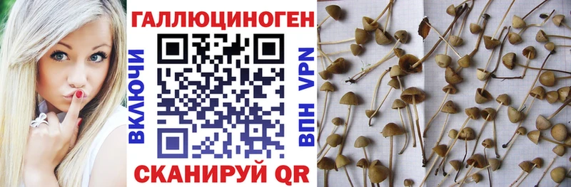 Галлюциногенные грибы Cubensis  гидра ссылки  Среднеколымск 